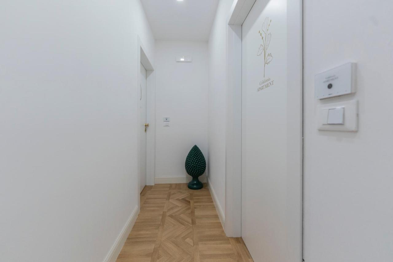 Aldrovandi Luxury Suites And Apartment Bologna Buitenkant foto